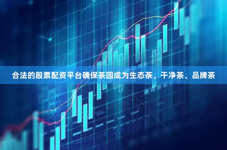 合法的股票配资平台确保茶园成为生态茶、干净茶、品牌茶