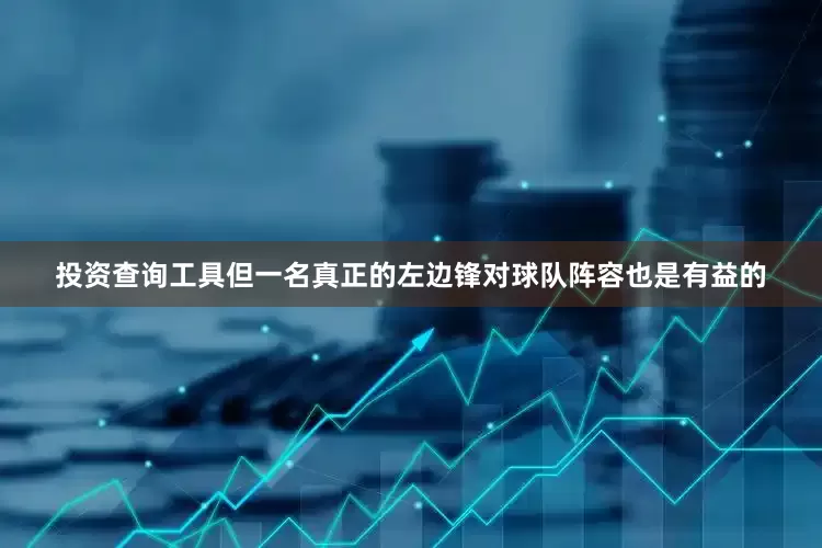 投资查询工具但一名真正的左边锋对球队阵容也是有益的