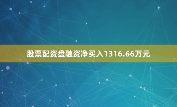 股票配资盘融资净买入1316.66万元