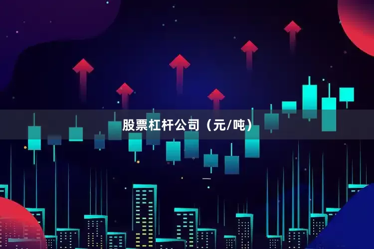 股票杠杆公司（元/吨）