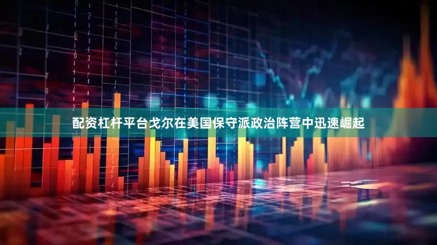 配资杠杆平台戈尔在美国保守派政治阵营中迅速崛起