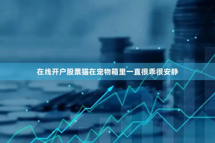 在线开户股票猫在宠物箱里一直很乖很安静