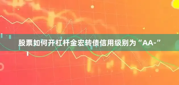 股票如何开杠杆金宏转债信用级别为“AA-”